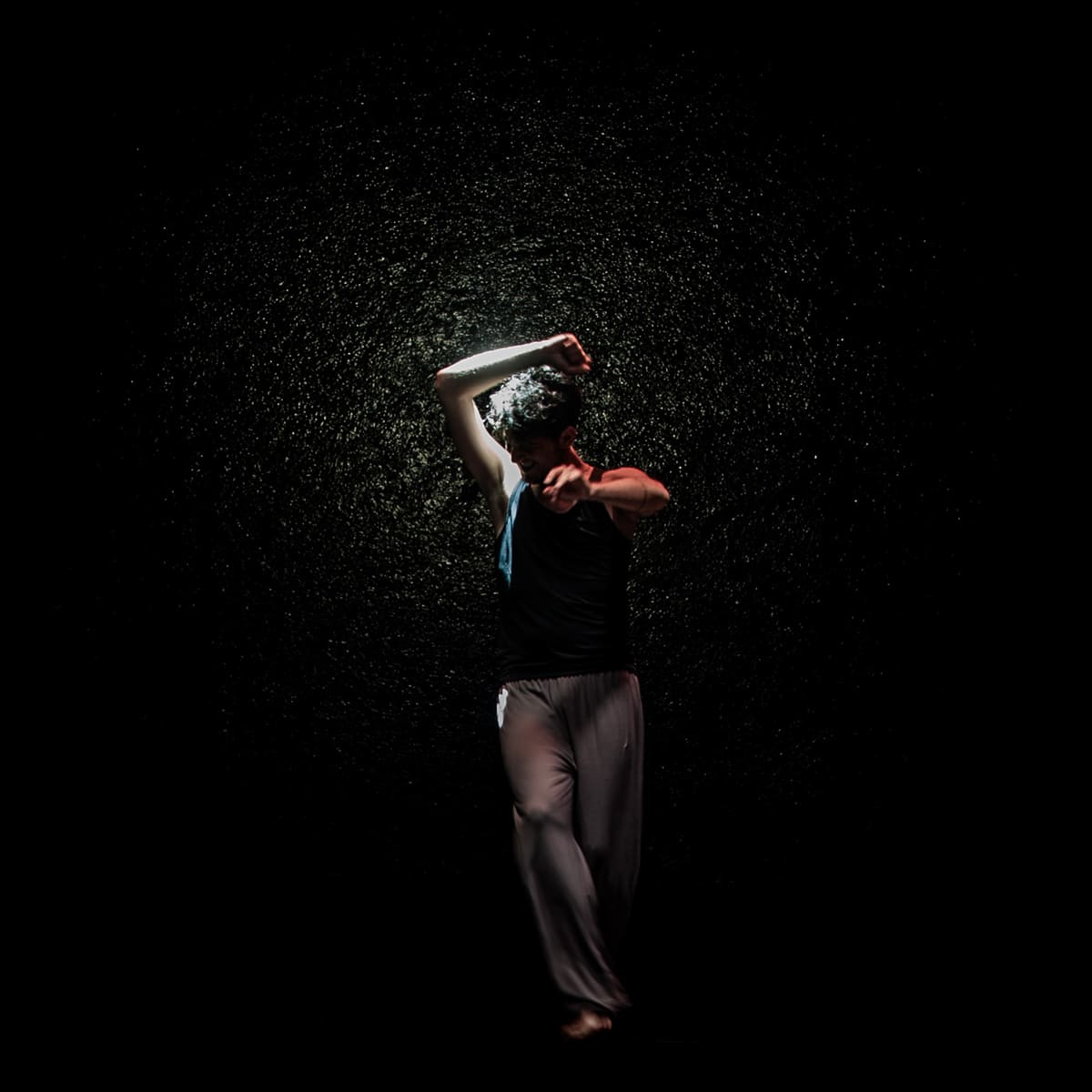 Crossings <br><sup>Festival di danza transculturale</sup>