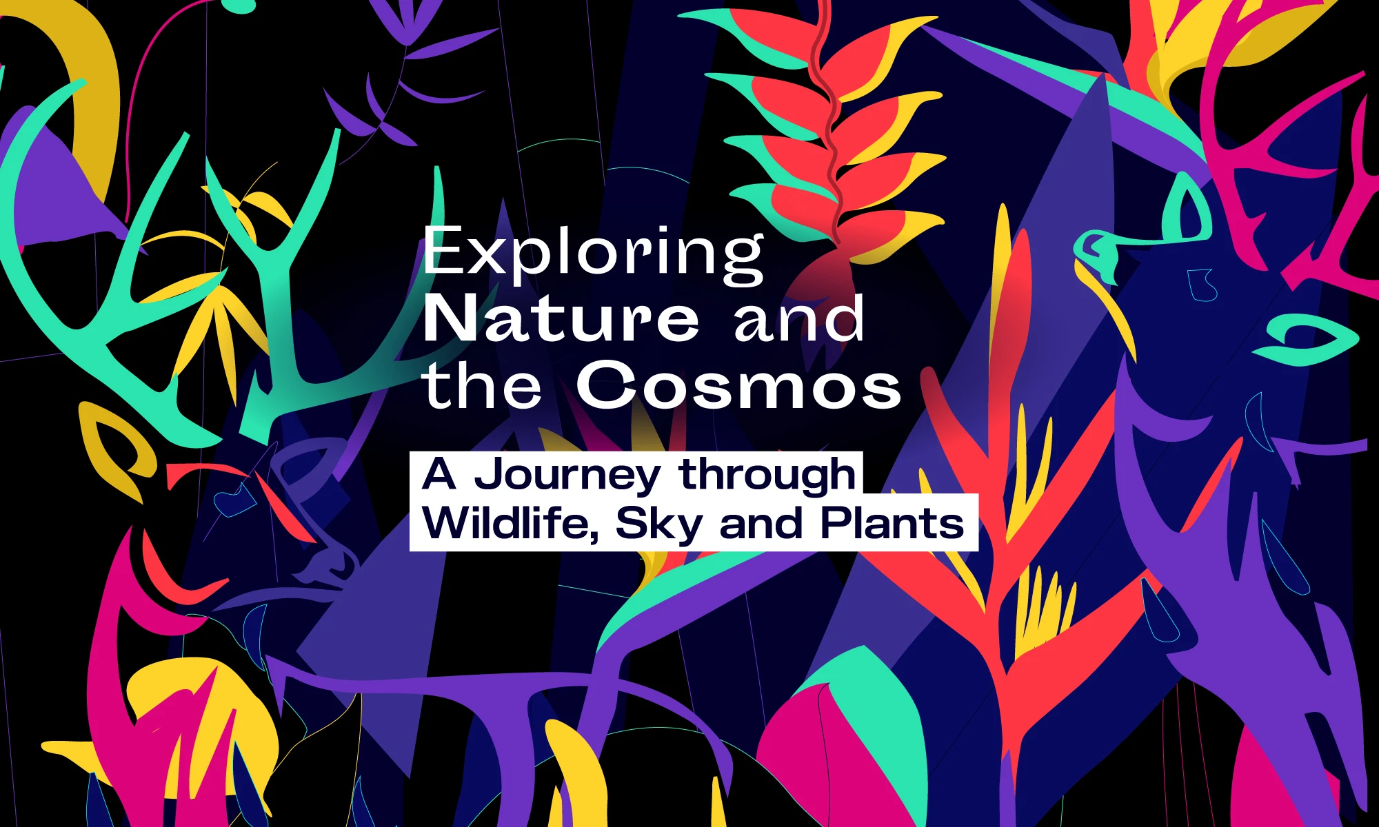 Exploring Nature and the Cosmos <br><sup>a journey through wildlife, sky and plants</sup>